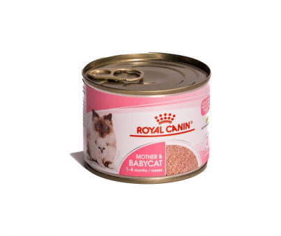 ROYAL-CANIN-MOUSE-BABYCAT.jpg