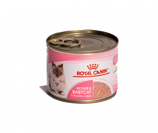 ROYAL-CANIN-MOUSE-BABYCAT.jpg