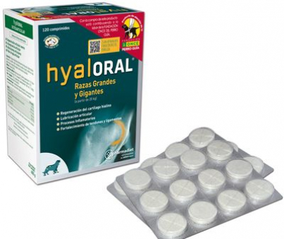 hyaloral-razas-grandes.jpg