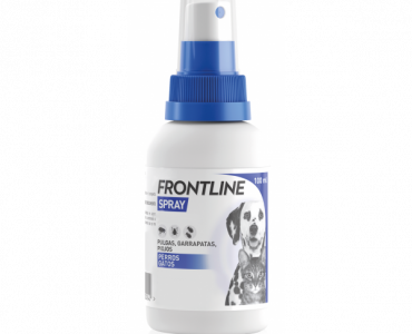 FRONTLINE