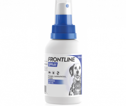 FRONTLINE